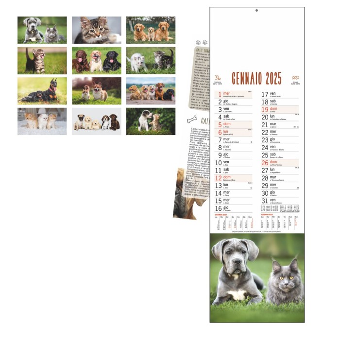 Calendario  Da Parete 2025 "Cani e Gatti" Con Testata Cartonata Personalizzata
